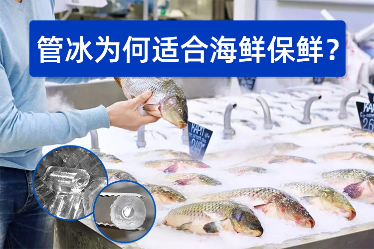 管冰為何如此適合海鮮保鮮？