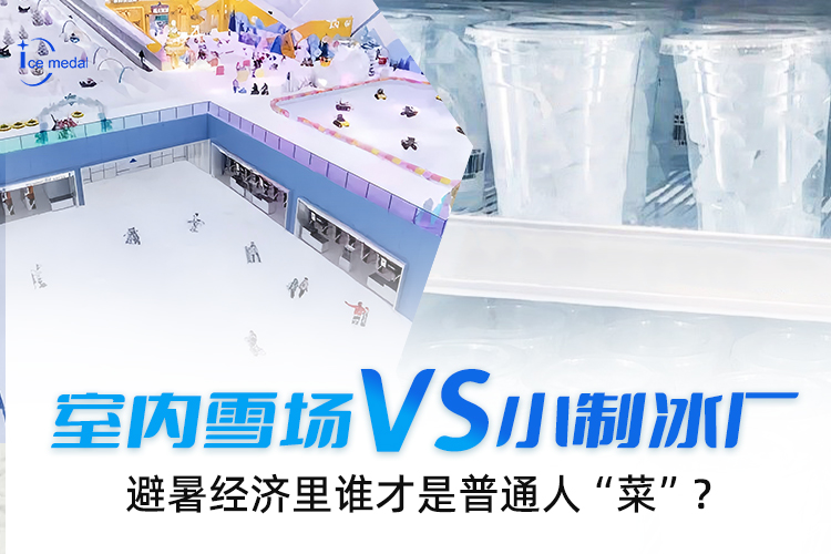 室內(nèi)雪場VS小制冰廠，避暑經(jīng)濟(jì)里誰才是普通人“菜”？